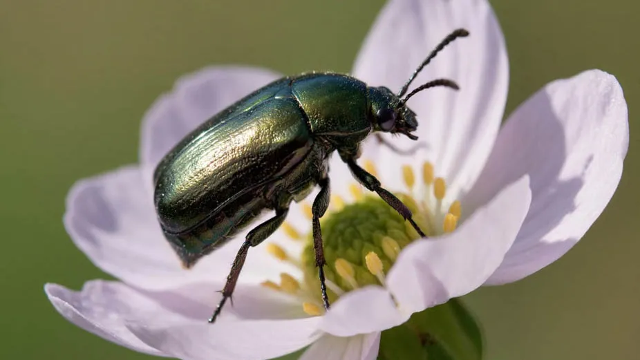 Фото: REGIONS/Сгенерировано нейросетью