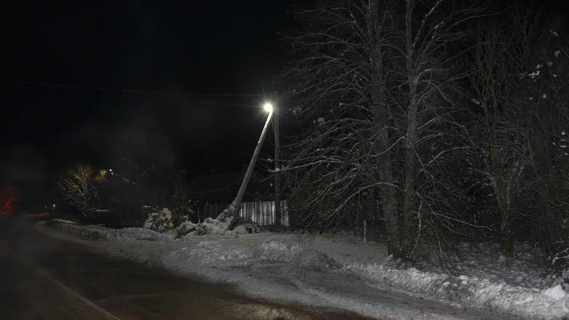 Фото: МедиаБанк Подмосковья/Владимир Останин