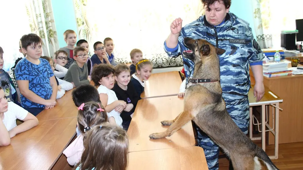 Фото: УМВД России по Дмитровскому городскому округу.