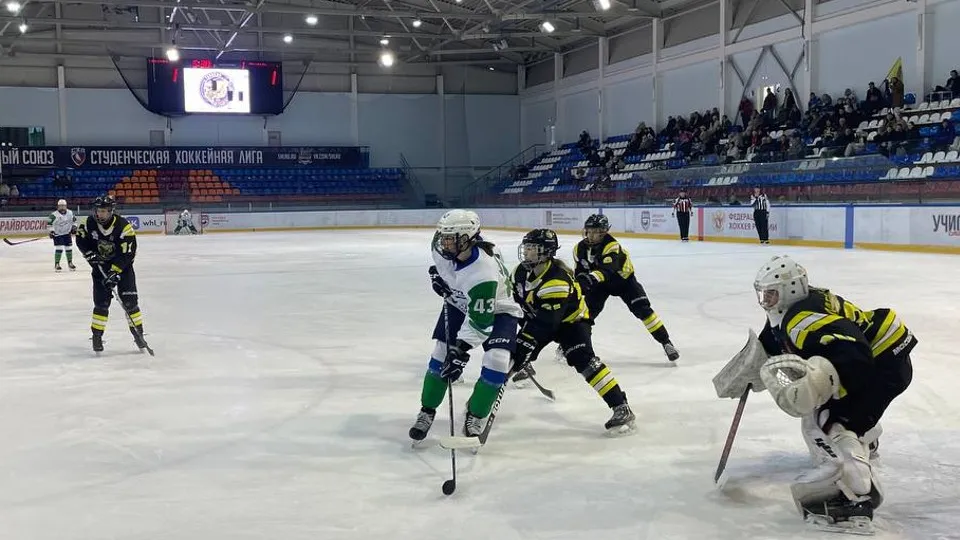 Фото: МедиаБанк Подмосковья/Евгений Рой