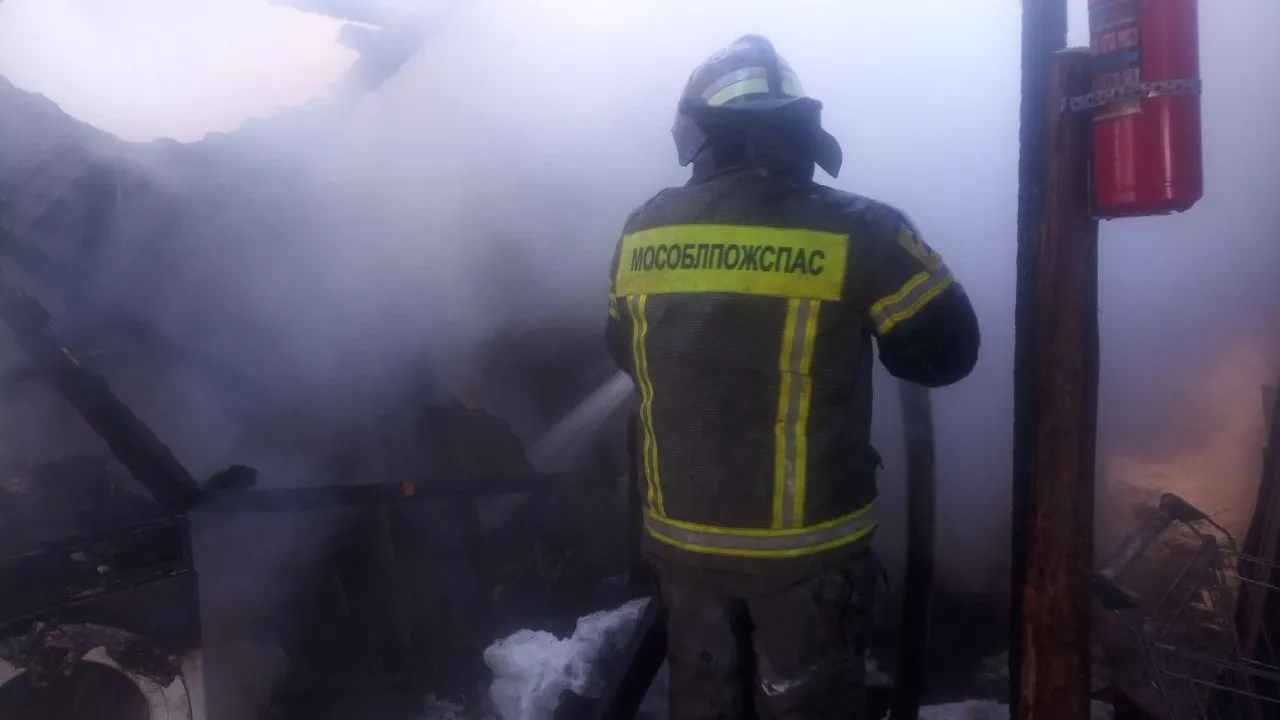 ГКУ МО «Мособлпожспас»