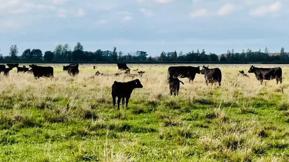 Фото: Константин Семенец
