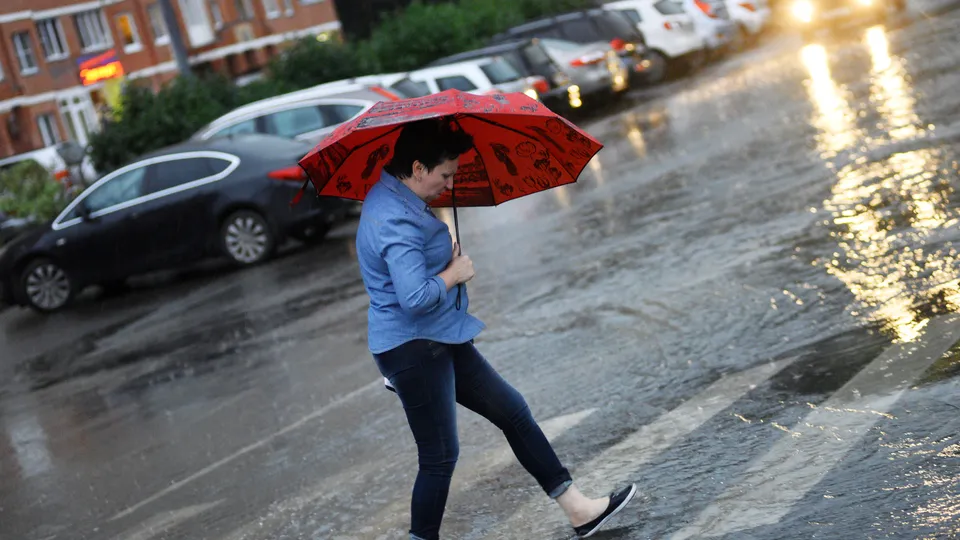 Фото: медиасток.рф