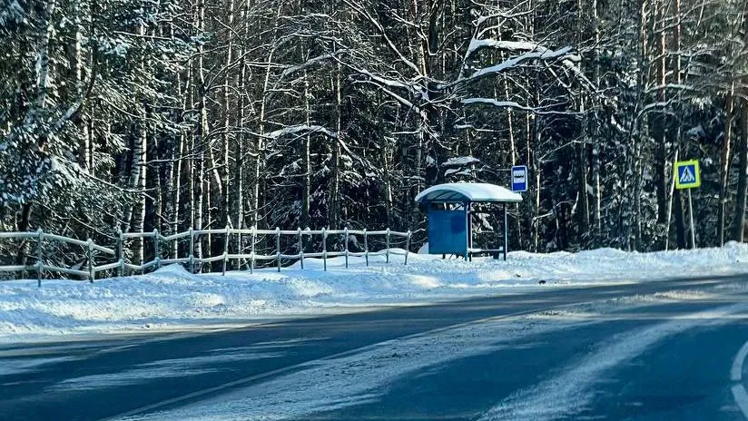 Фото: Минтранс Подмосковья
