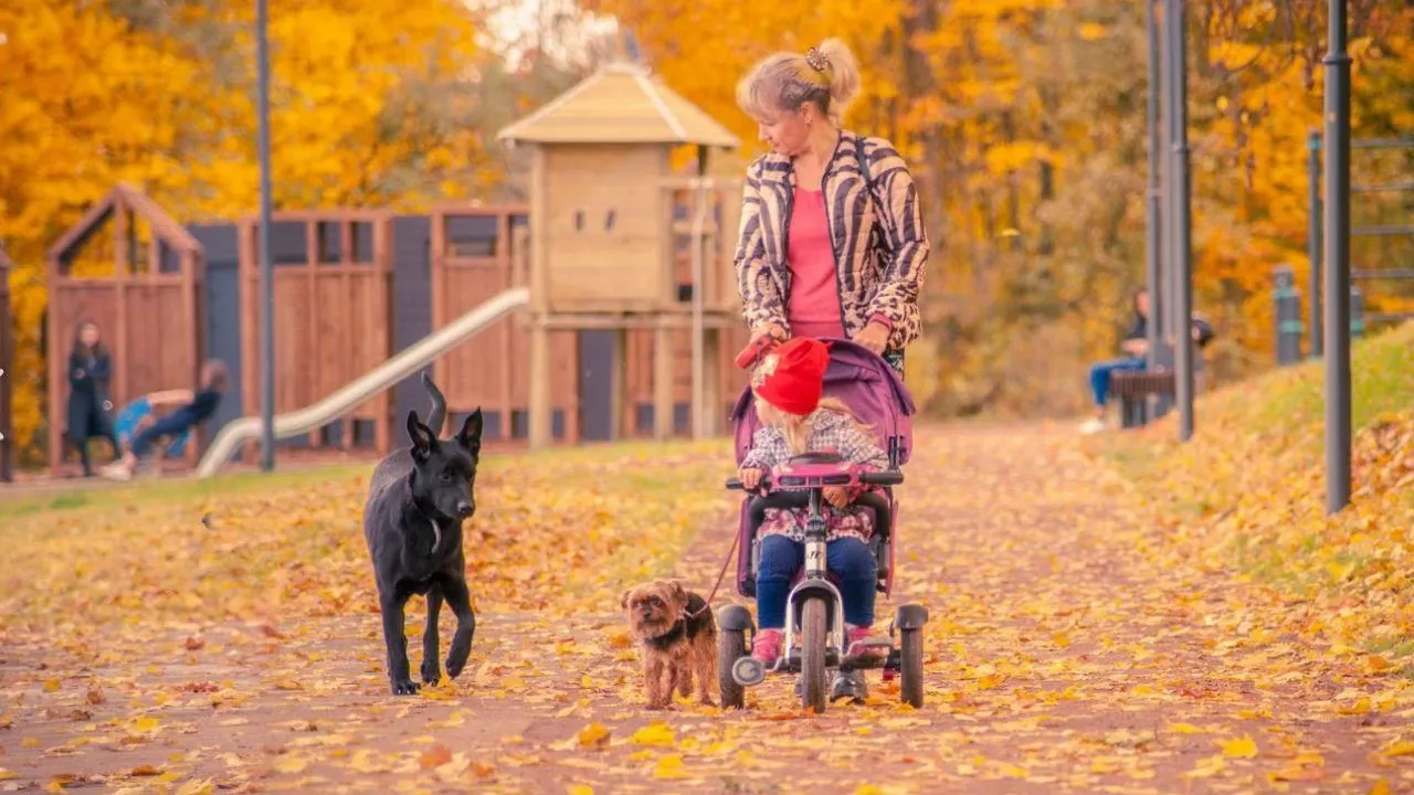 фото: пресс-служба администрации городского округа Солнечногорск