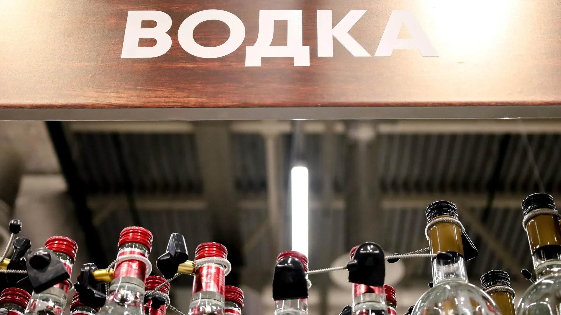 Elena Mayorova/Global Look Press