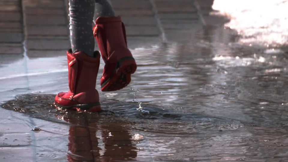 Фото: pxhere.com