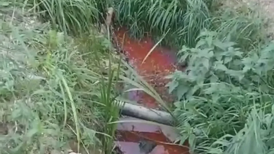 Фото: управление экологии городского округа Мытищи