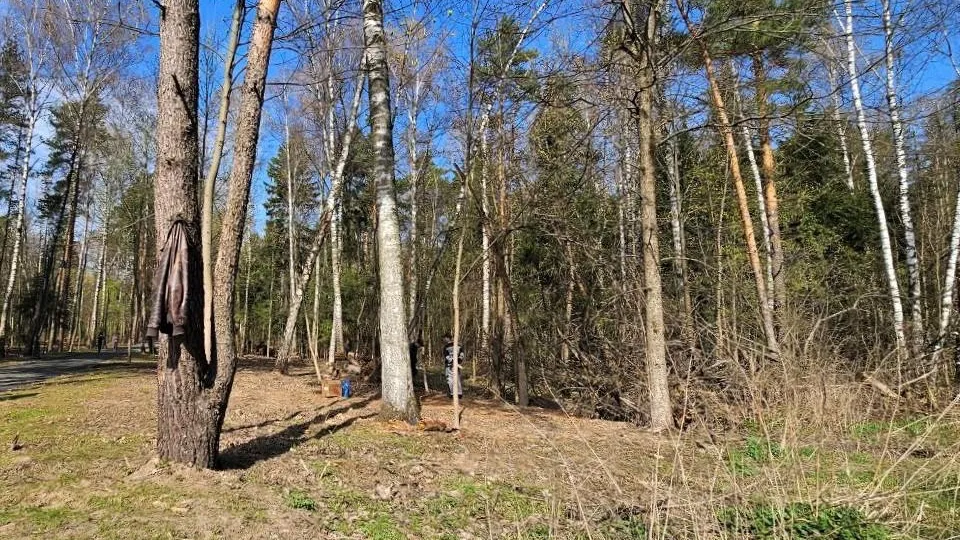 Фото: Комитет лесного хозяйства Московской области