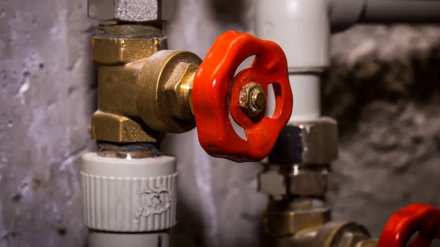 Фото: freepik.com