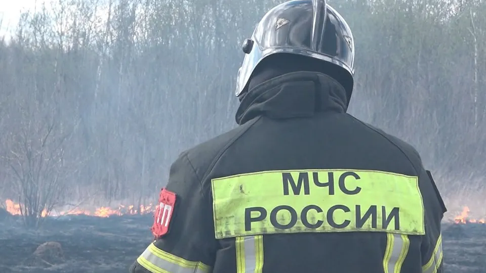 Фото: МедиаБанк Подмосковья/Н. Надточая