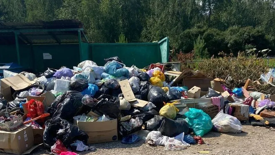 Фото: t.me/my_lobnya