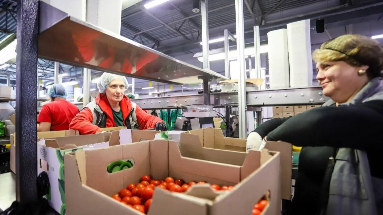 Фото: Виталий Ватулин