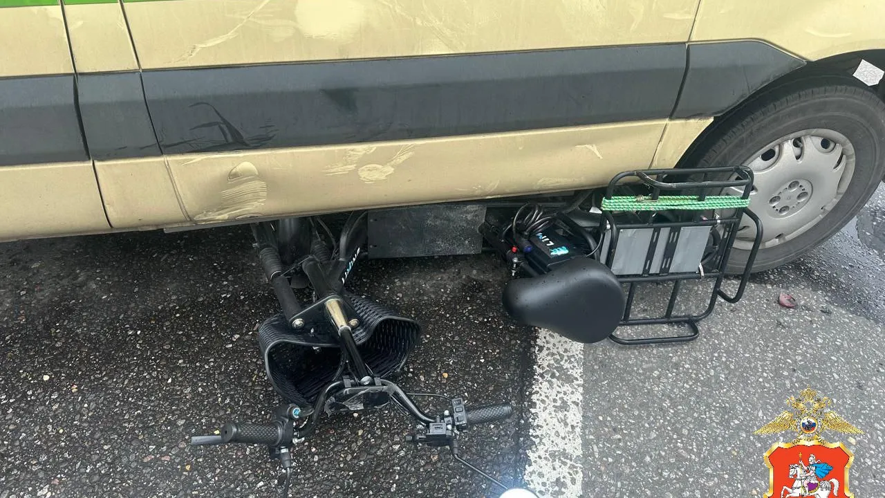 Фото: ГУ МВД России по Московской области