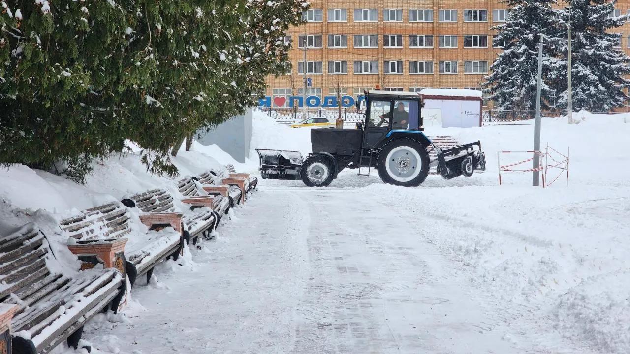 REGIONS/Мария Шигорева