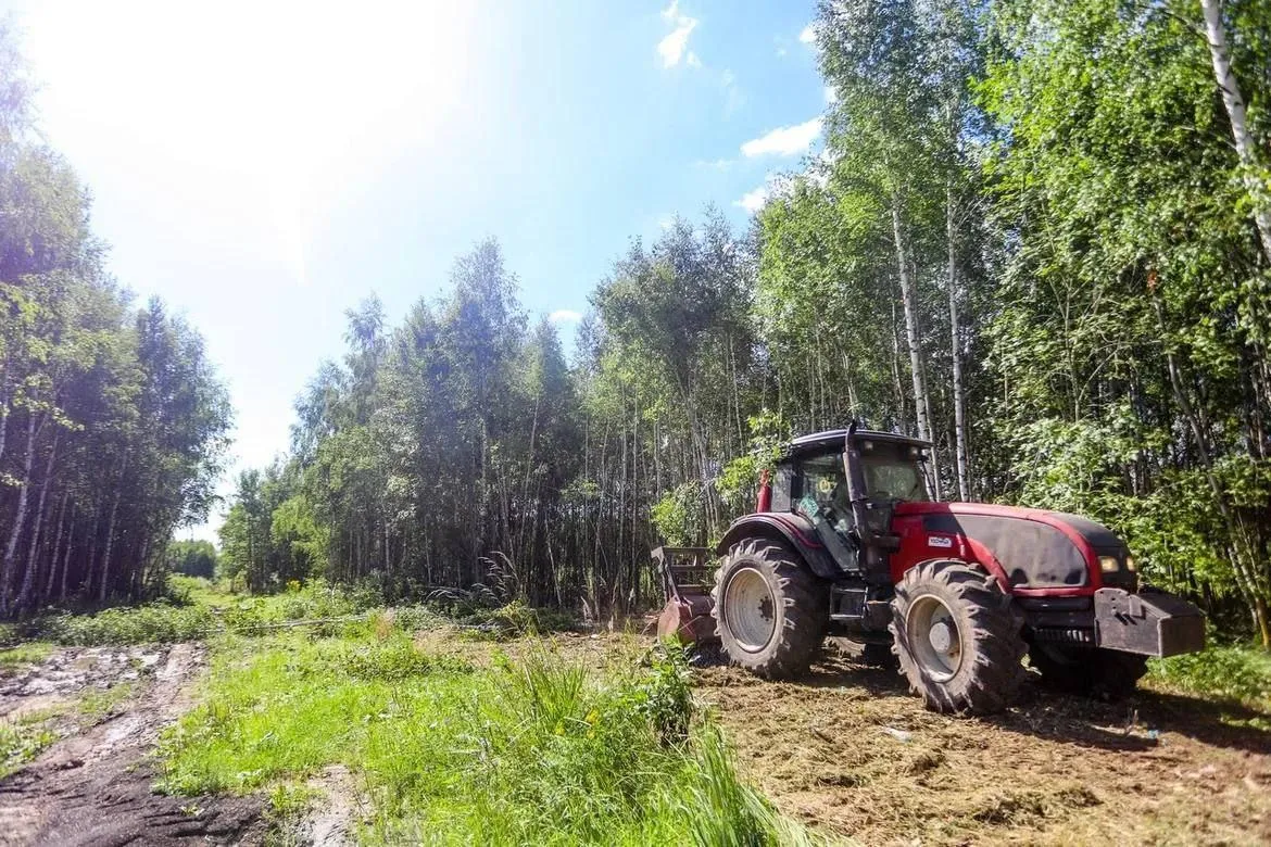 Фото: Виталий Ватулин
