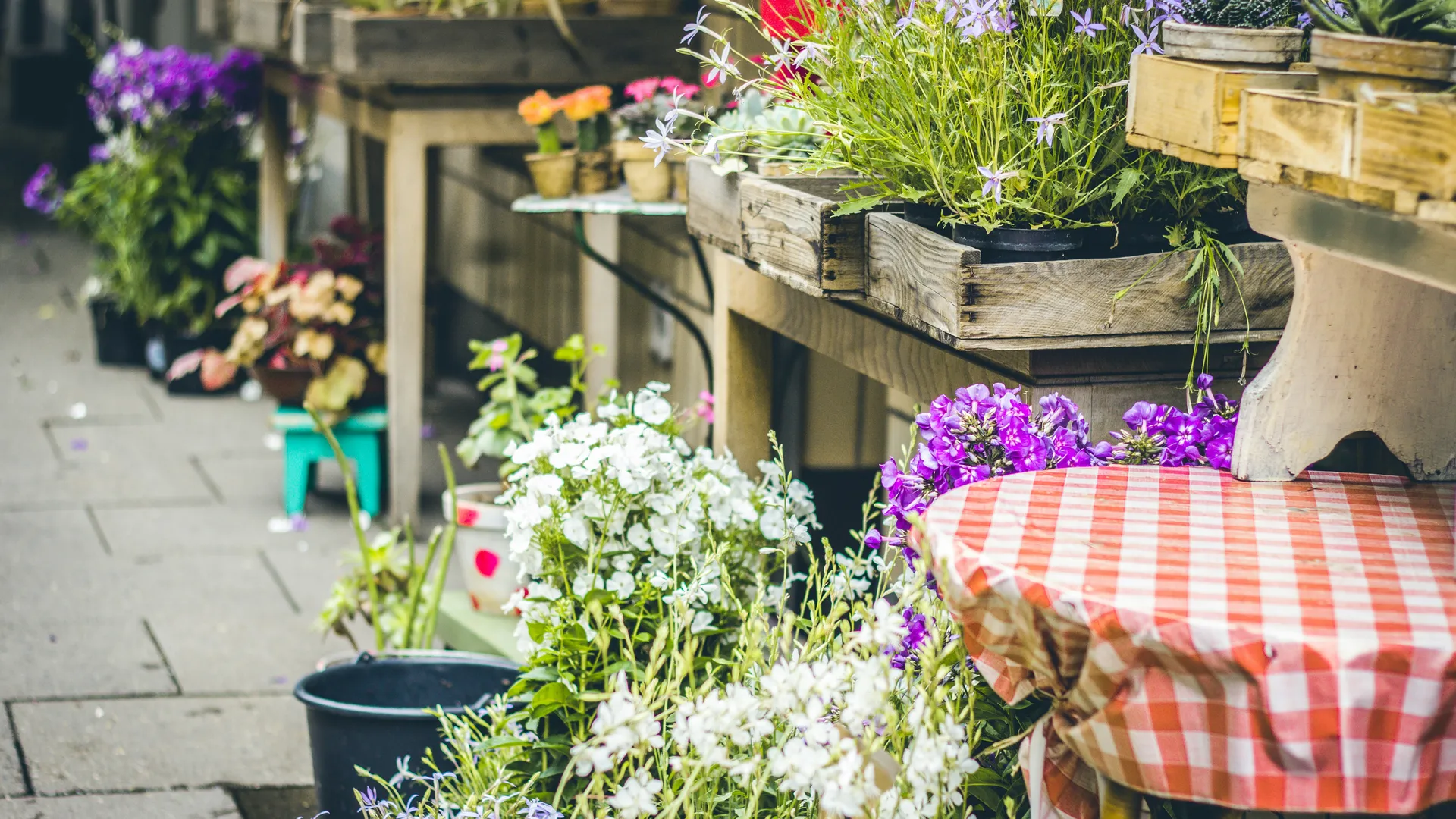 Фото: unsplash.com