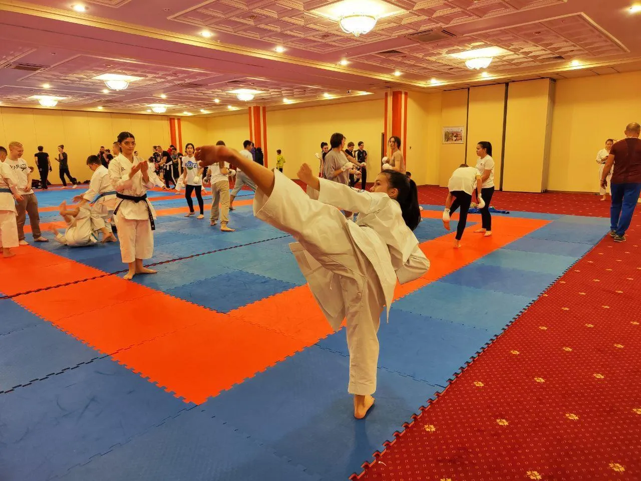 Архив Алисы Ахмедзяновой