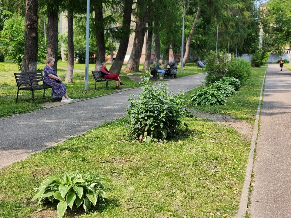 Аллея славы