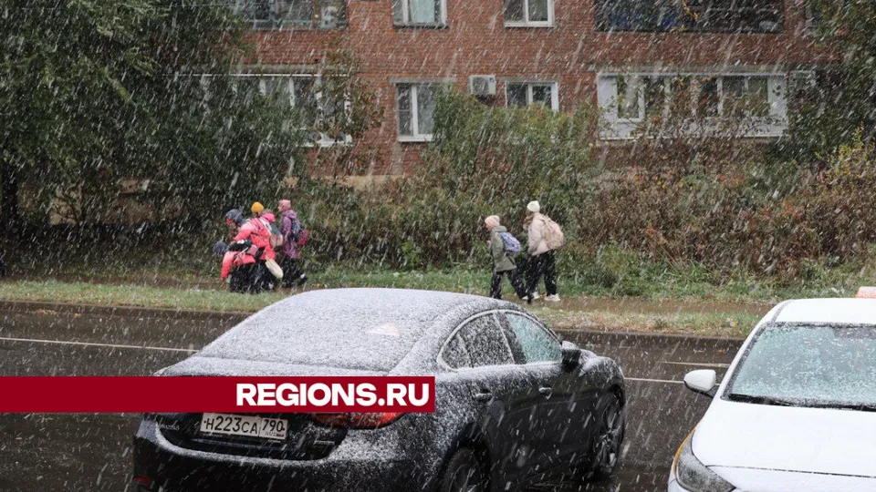 Фото: Алексей Грызлов