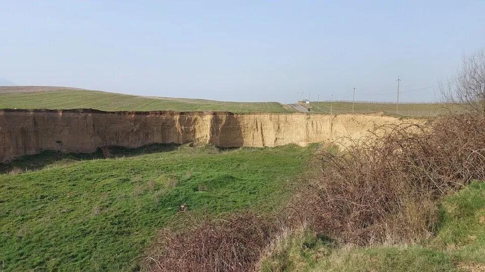 Фото: ИФХиБПП РАН