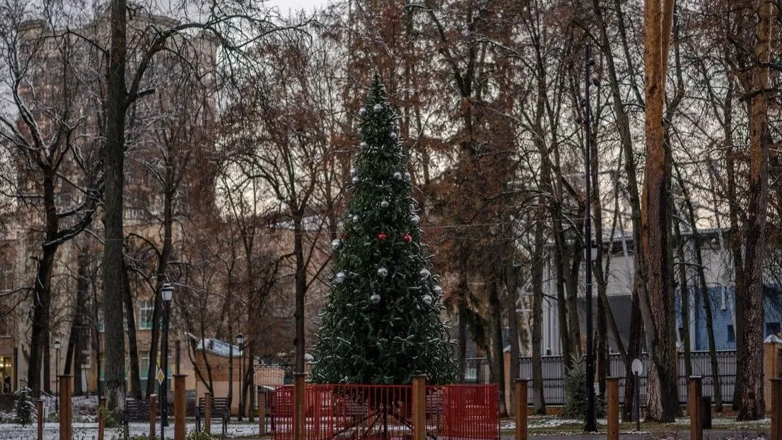 Фото: Раменский парк