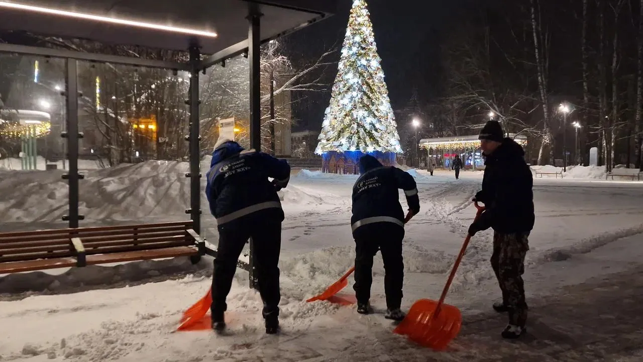 REGIONS/Полина Пахомова