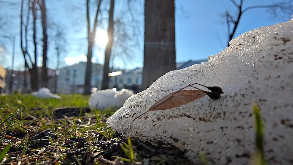 Фото: REGIONS/Алексей Селиверстов