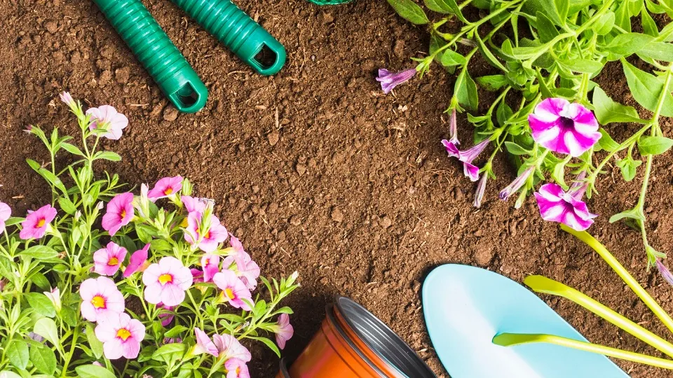 Фото: freepik.com