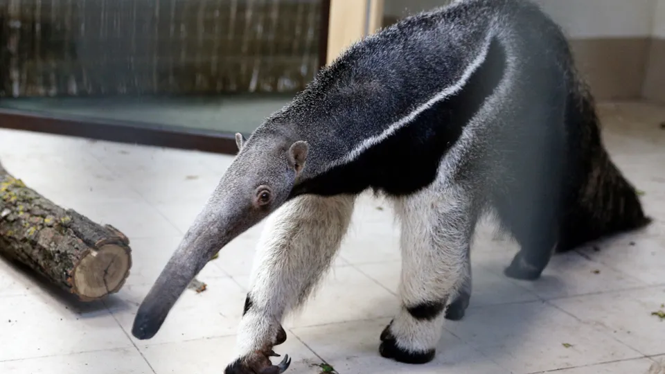 Фото: ТАСС/Виталий Невар