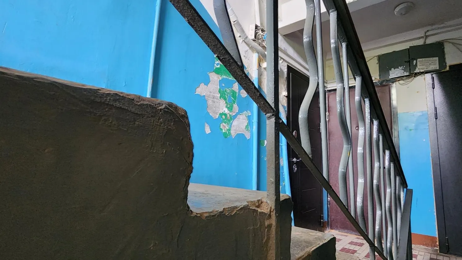 Фото: Иван Дубров