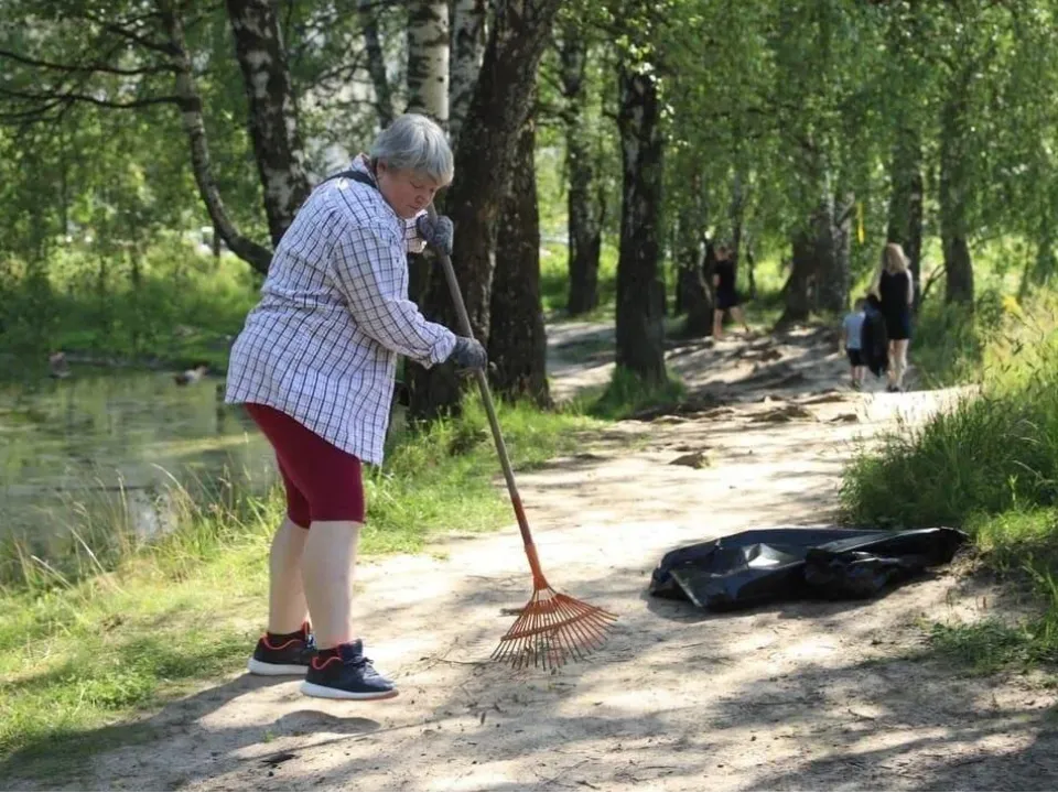 Фото: Комитет лесного хозяйства Московской области
