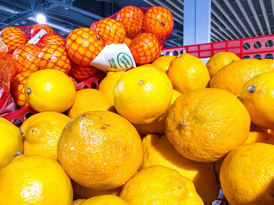 Фото: REGIONS/Владимир Ерастов