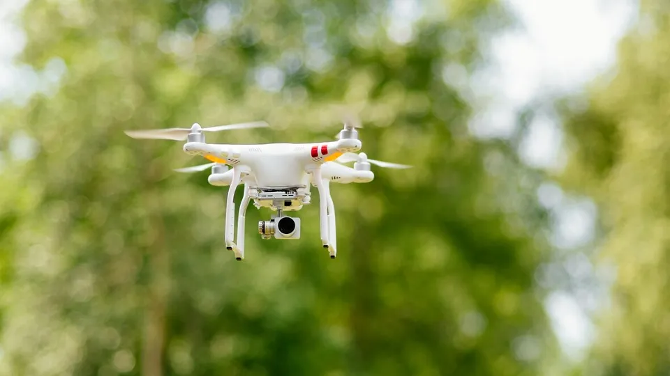 Фото: freepik.com