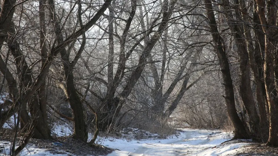 Фото: медиасток.рф