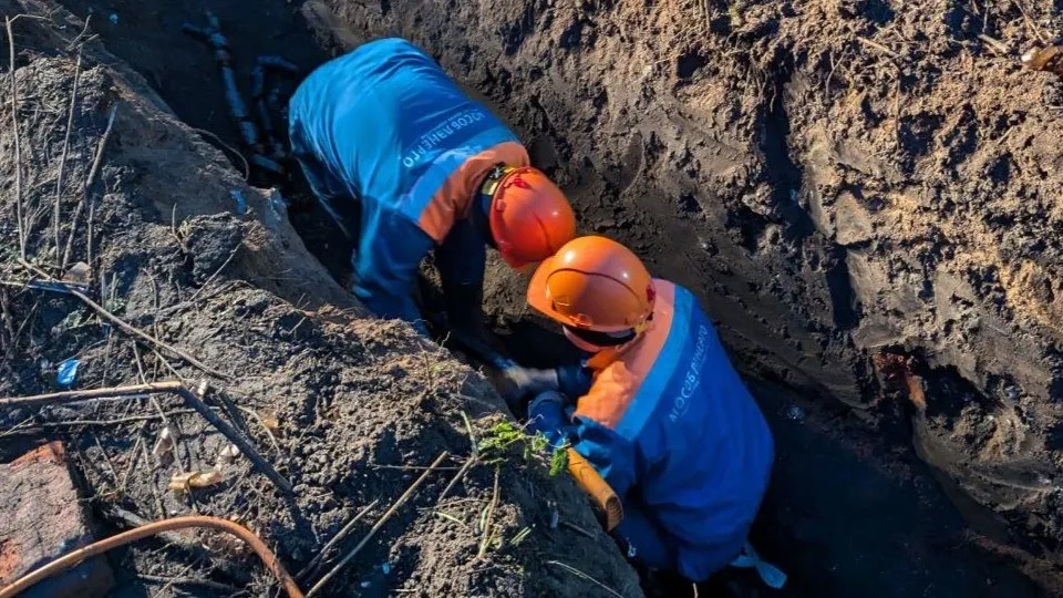 Фото: Мособлэнерго