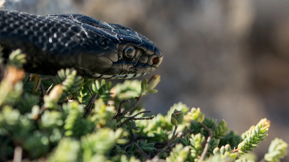 Фото: freepik.com