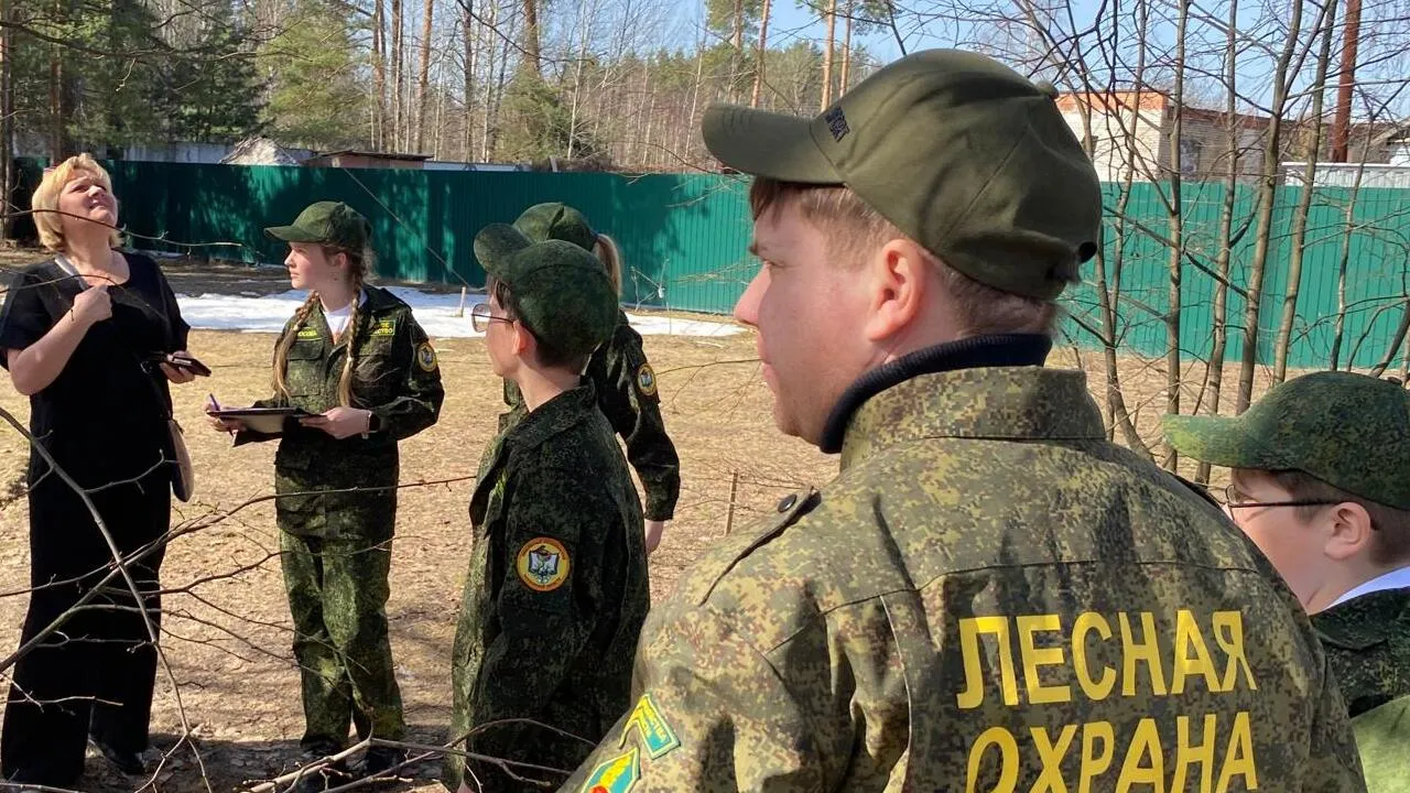 Фото: Комитет лесного хозяйства МО