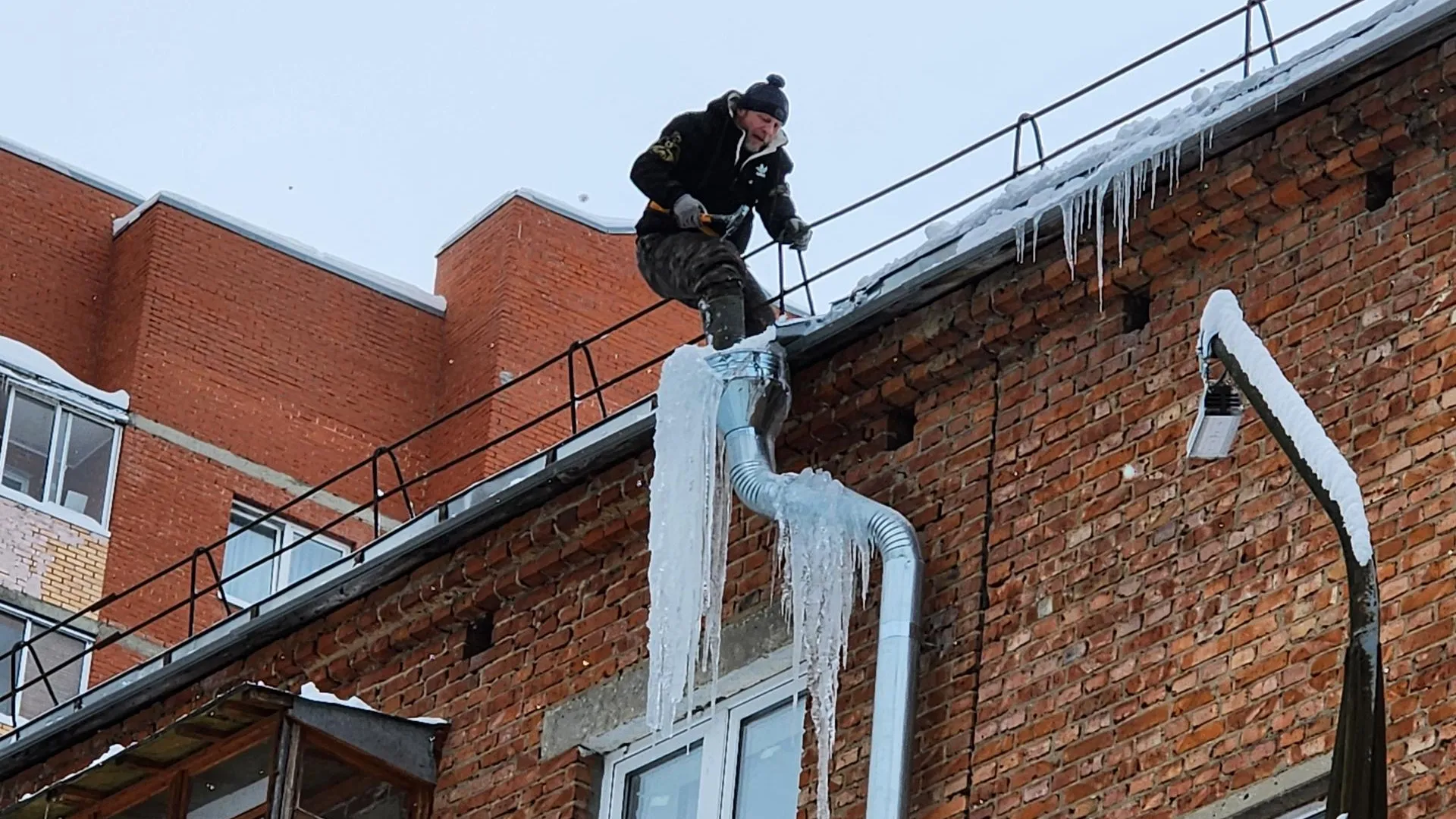 REGIONS/Елена Шумакова