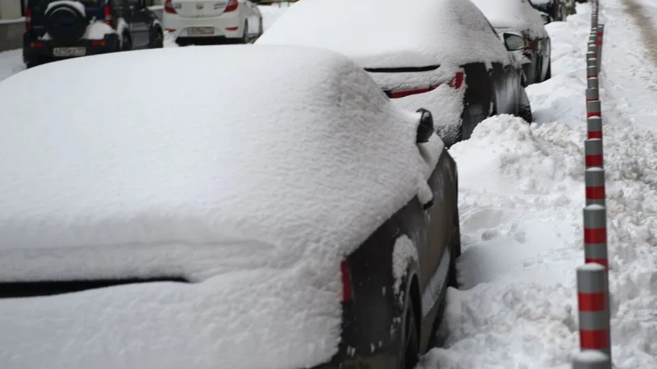 Фото: медиасток.рф