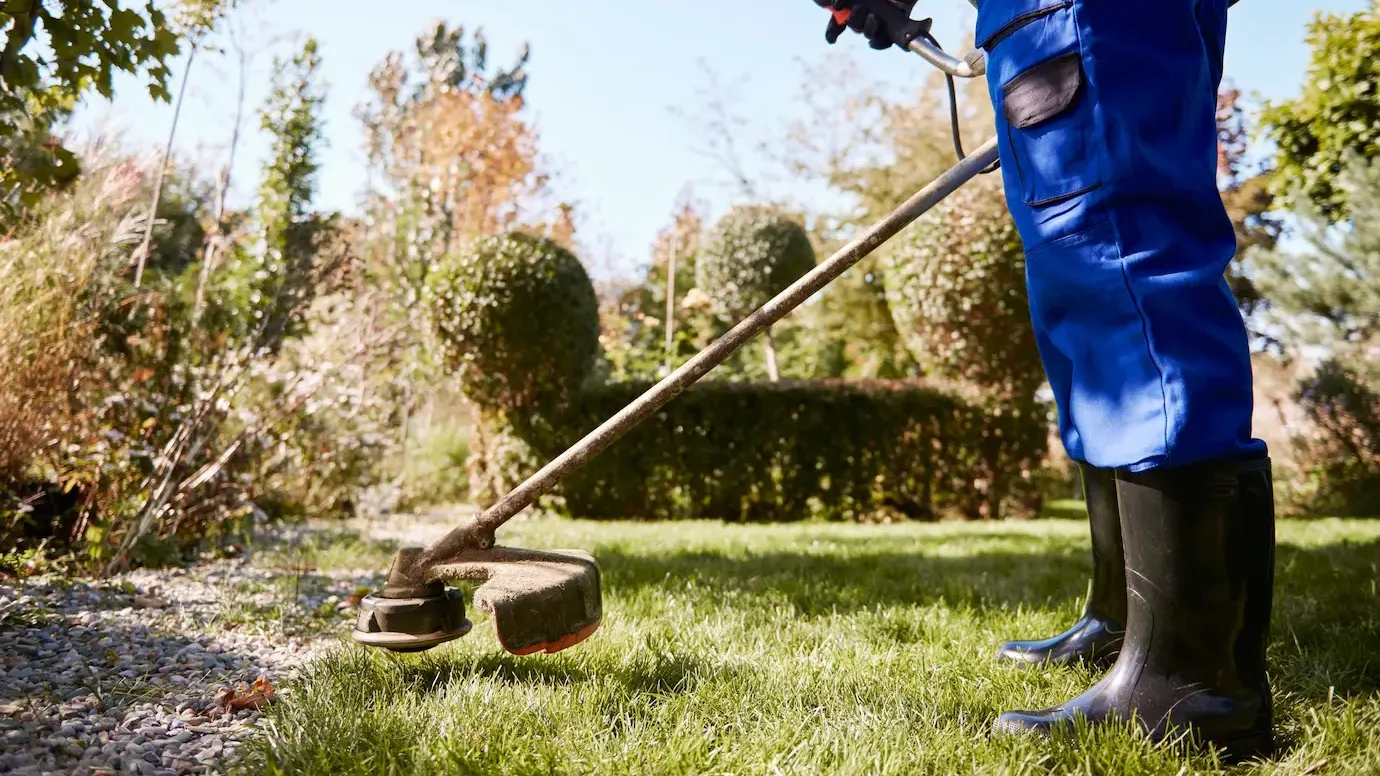 Фото взято с ru.freepik.com