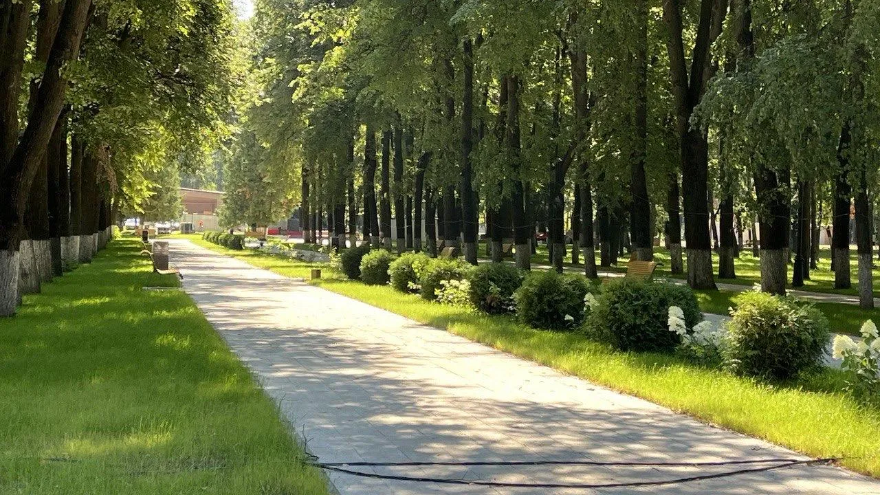 Фото: Министерство благоустройства МО