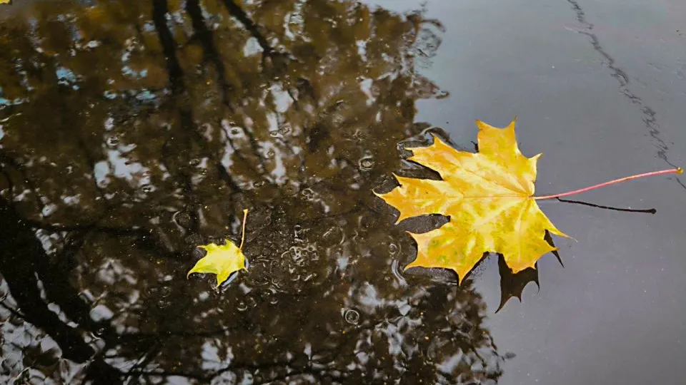 Фото: REGIONS/Роман Малышенко