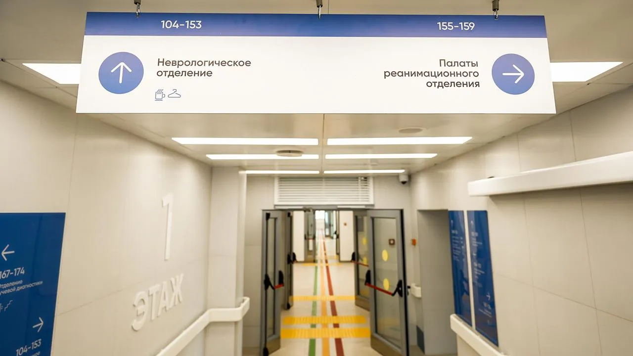 пресс-служба губернатора и правительства Московской области/Александра Степанова