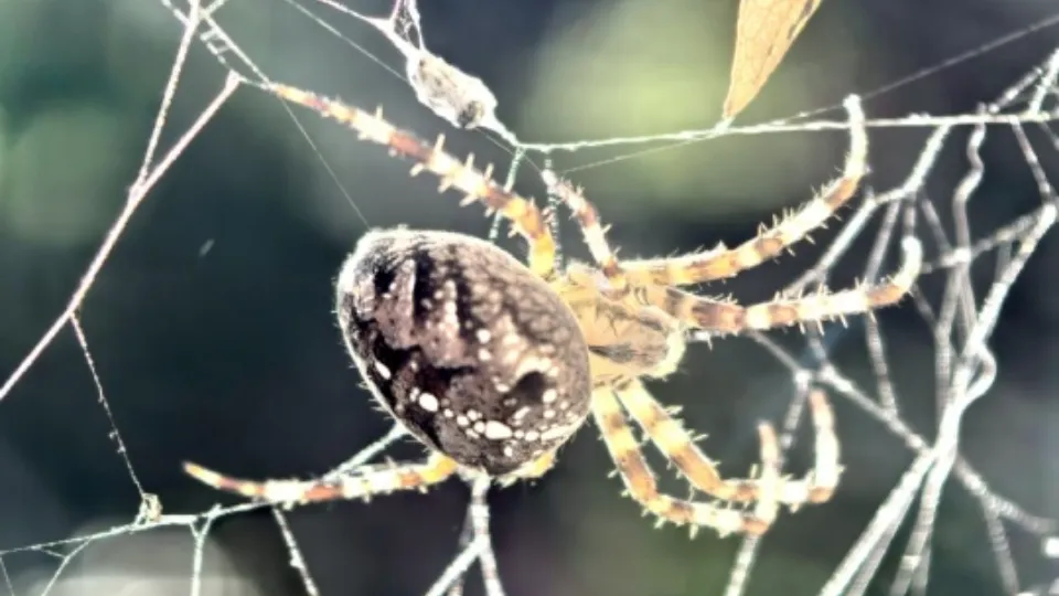 Фото: Мария Аргир