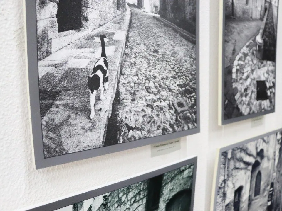 Фото: Коломенская картинная галерея «Дом Озерова»&nbsp;&nbsp;