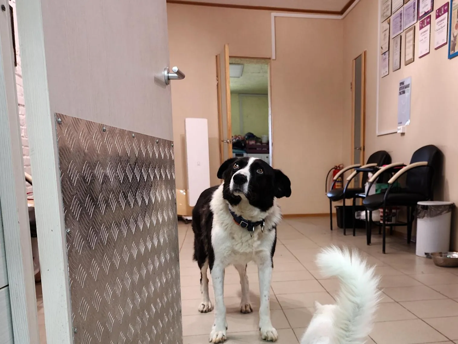 Фото: Анна Тюрюмина&nbsp; &nbsp; &nbsp; &nbsp;