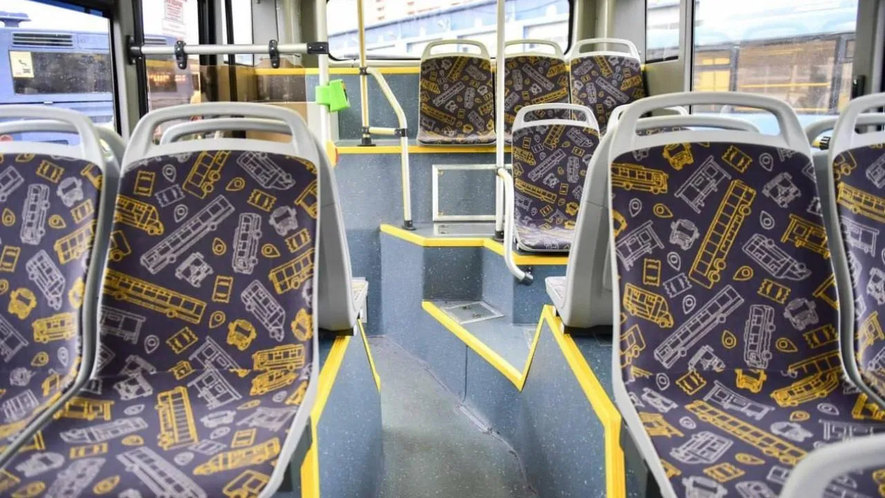 Жителям Подмосковья напомнили о правилах перевозки хвойных деревьев в автобусах