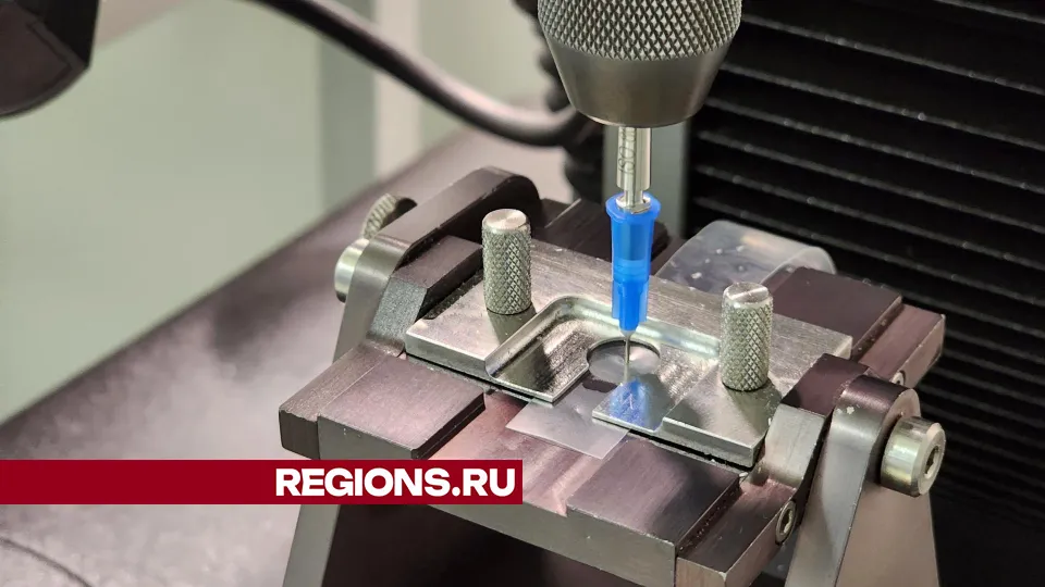 Фото: Арина Кузнецова