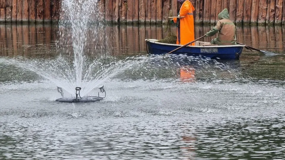 Фото: REGIONS/Юлия Алабина